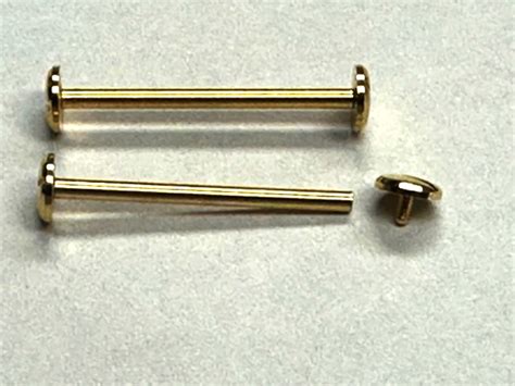 Ewatchparts STRAP SCREW & TUBE (PINS) FOR MICHAEL 